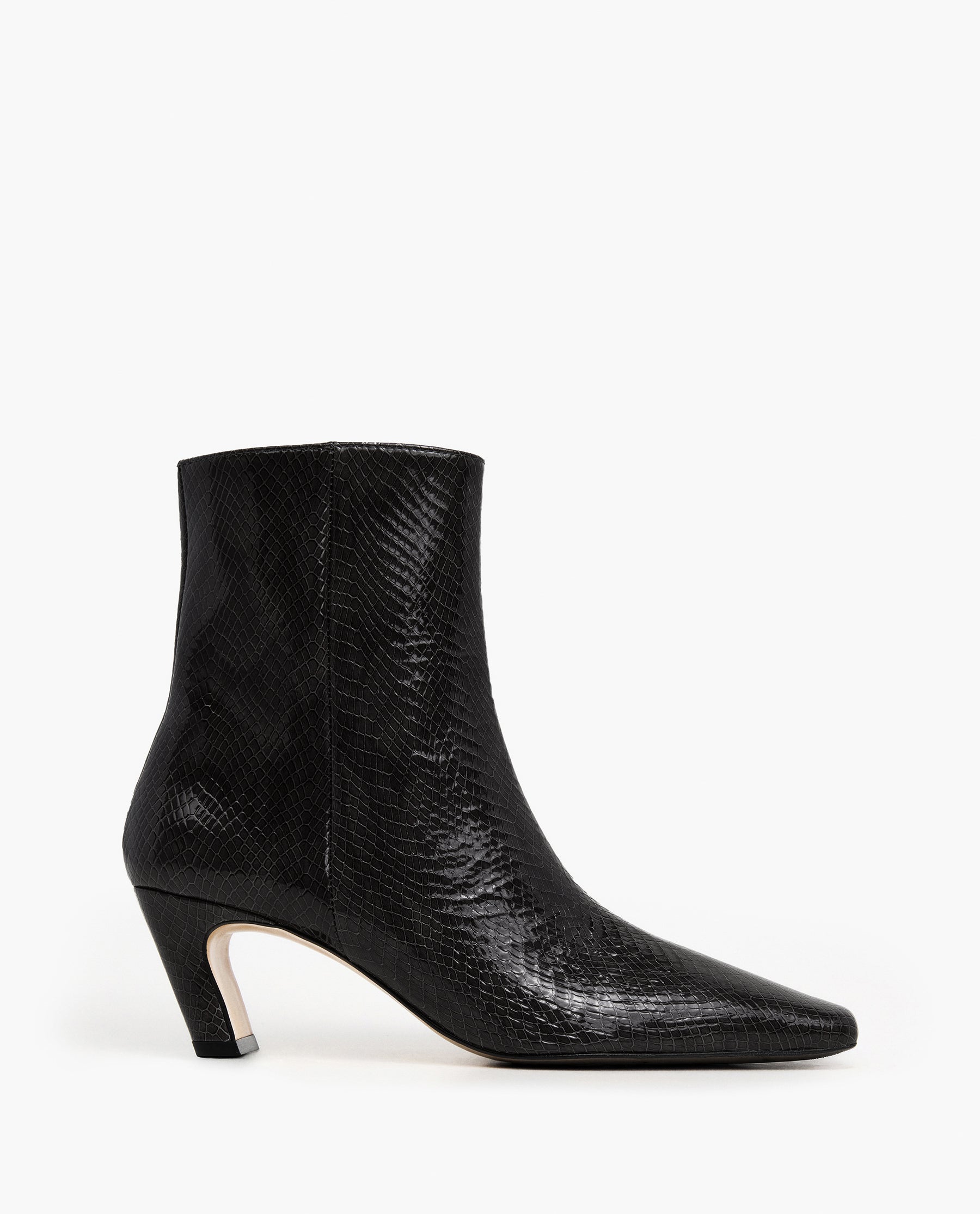 Flattered Xena Snake Side 2